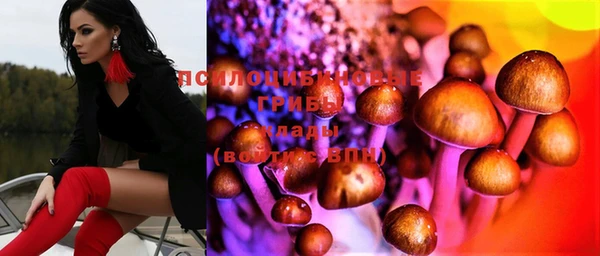 МДПВ Алзамай