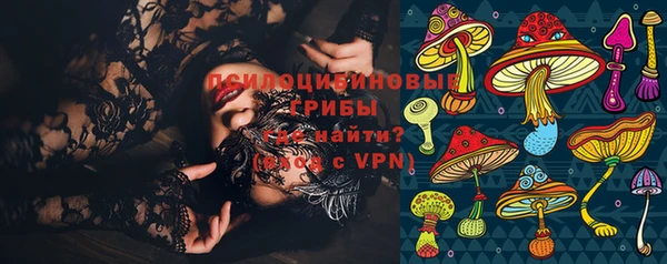 МДПВ Алзамай