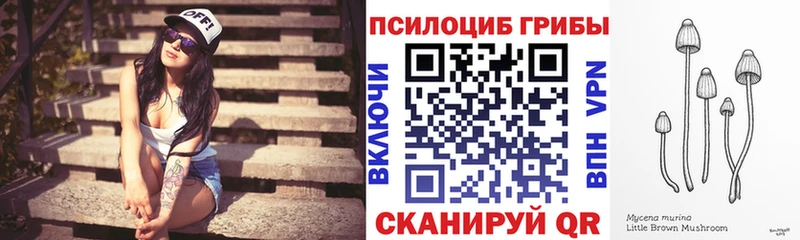 OMG вход  Елец  Псилоцибиновые грибы Psilocybine cubensis 